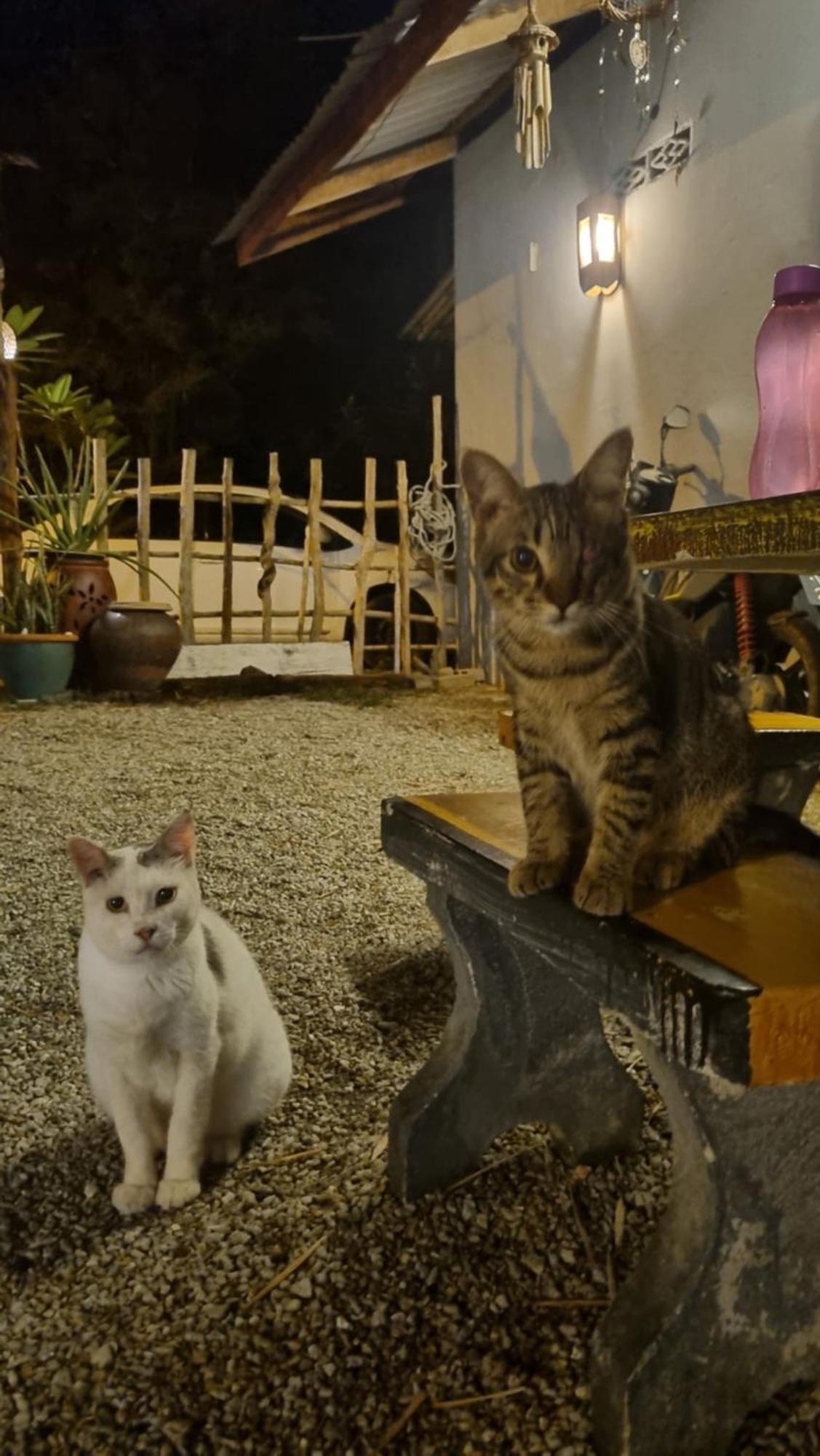 مبيت وإفطار بانتايْ تْشينانغ Seven Stones Langkawi المظهر الخارجي الصورة